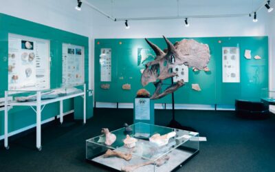 Urweltmuseum Aalen