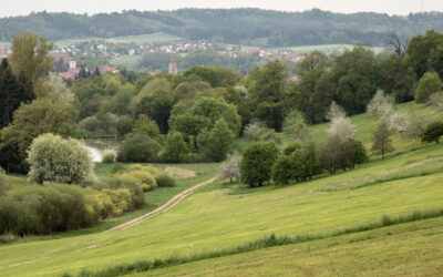 Ellwanger Schlossweiher
