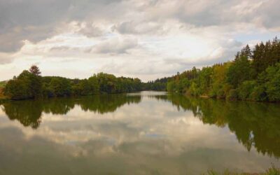 Schlierbachsee