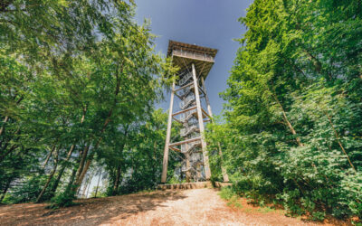 Aussichtsturm Aalbäumle