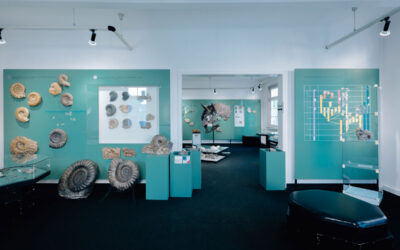 Urweltmuseum Aalen